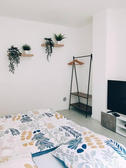 Magnifique Appartement T3 50 M2 Obernai Buitenkant foto