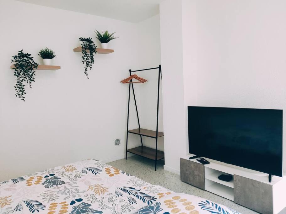 Magnifique Appartement T3 50 M2 Obernai Buitenkant foto
